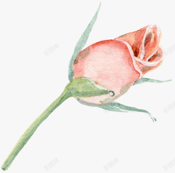 卡通手绘粉色的玫瑰花png免抠素材_新图网 https://ixintu.com 创意 动漫动画 卡通手绘 简约 粉色的玫瑰花 美丽的花束