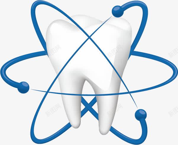 牙齿png免抠素材_新图网 https://ixintu.com 剖面图 牙 牙科 牙齿