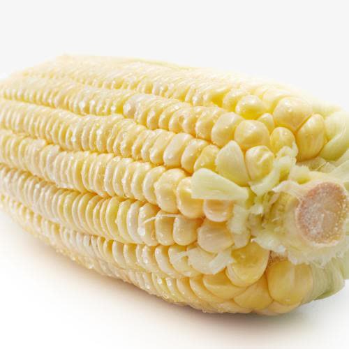 农作物玉米png免抠素材_新图网 https://ixintu.com 农作物玉米 带皮玉米 有机玉米 玉米