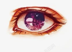 紫色眼睛素材