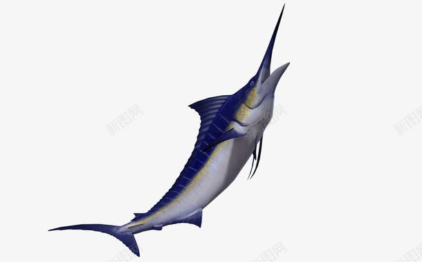 3d动物海洋png免抠素材_新图网 https://ixintu.com 3d卡通动物 3d卡通鱼 卡通鱼 海洋 鱼 鱼类