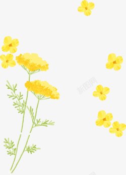 手绘黄色水彩小花装饰素材