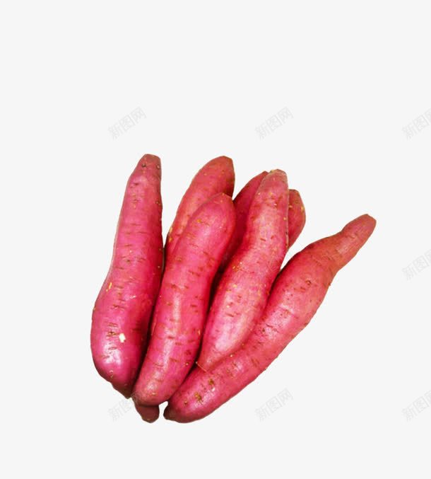 小小的红薯png免抠素材_新图网 https://ixintu.com 农作物 小小的 红薯 食物