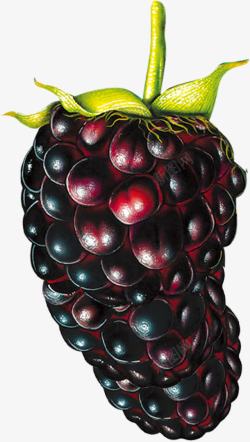 手绘紫色食物营养水果素材