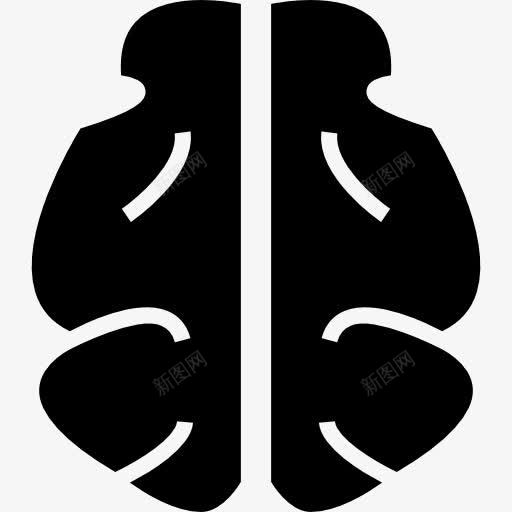 人类的大脑图标png_新图网 https://ixintu.com 人体器官 器官 大脑 形状 思维 智力