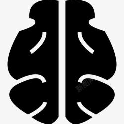 器官的形状人类的大脑图标高清图片