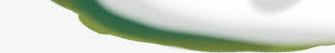 手绘圣诞节绿色植物装饰雪花png免抠素材_新图网 https://ixintu.com 圣诞节 绿色植物 装饰 雪花