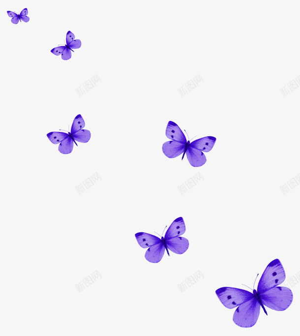 紫色蝴蝶漂浮png免抠素材_新图网 https://ixintu.com 免抠PNG 手绘 漂浮素材 紫色 蝴蝶