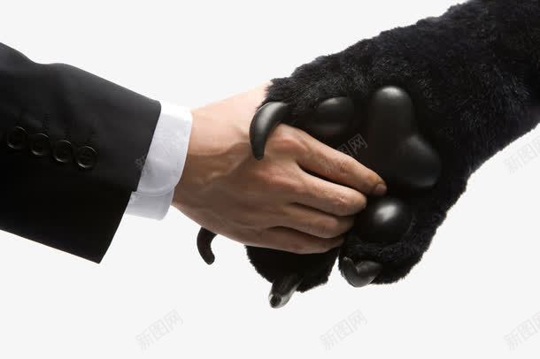 握手的熊掌png免抠素材_新图网 https://ixintu.com nbs 商人 手 打招呼 握手 熊掌 爪子 礼貌 见面 言和 鱼和熊掌 黑色的熊