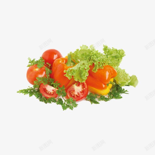 西红柿和青菜png免抠素材_新图网 https://ixintu.com 免费 生菜 红色 绿色