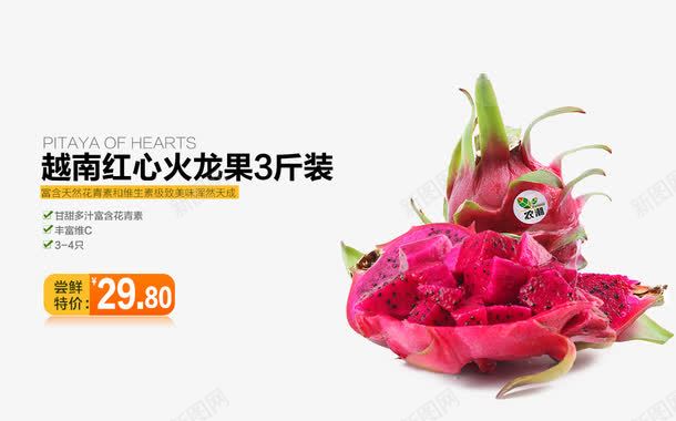 火龙果psd免抠素材_新图网 https://ixintu.com 水果 火龙果 火龙果促销