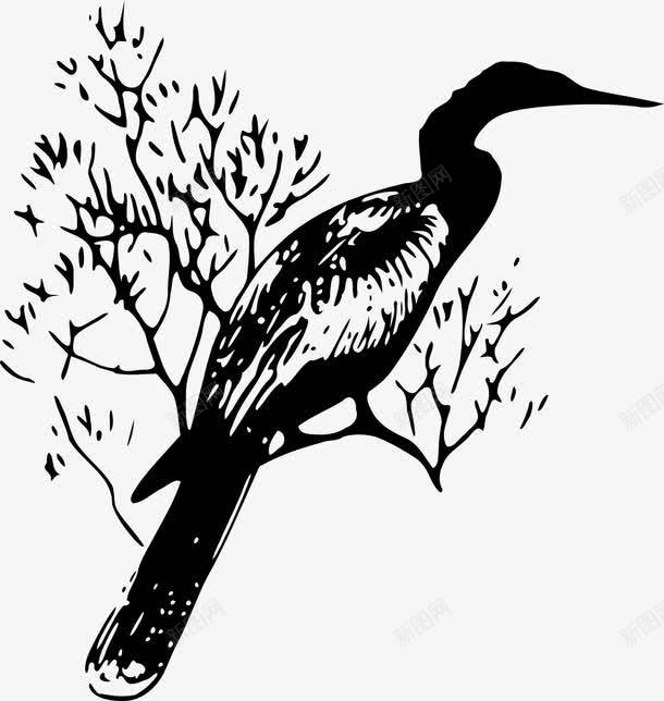 站在树上的鸟png免抠素材_新图网 https://ixintu.com 坐 水鸟 湿地 蛇鸟 鱼 鸟