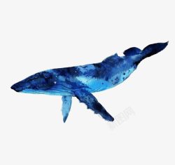 创意蓝色鲨鱼素材