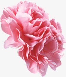 粉红色效果卡通植物花朵png免抠素材_新图网 https://ixintu.com 卡通 效果 植物 粉红色 花朵 设计