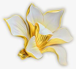 白色金边花朵植物素材
