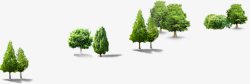 摄影创意绿色植物树木素材