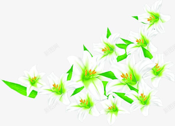 绿色渐变花朵海报装饰png免抠素材_新图网 https://ixintu.com 海报 渐变 绿色 花朵 装饰