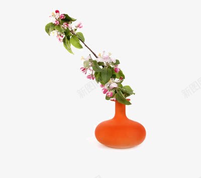 一个橘红色花瓶里斜插着一支花png免抠素材_新图网 https://ixintu.com 橘红 花 花瓶 花艺