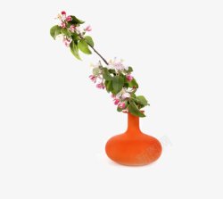 一个橘红色花瓶里斜插着一支花素材