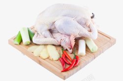 鸡汤食材鸡肉高清图片