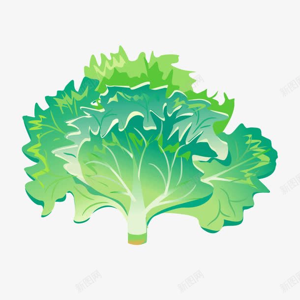 绿色蔬菜青菜生菜png免抠素材_新图网 https://ixintu.com 生菜 绿色 绿色蔬菜 蔬菜 青菜