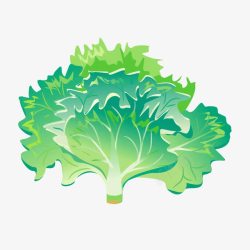 绿色蔬菜青菜生菜素材