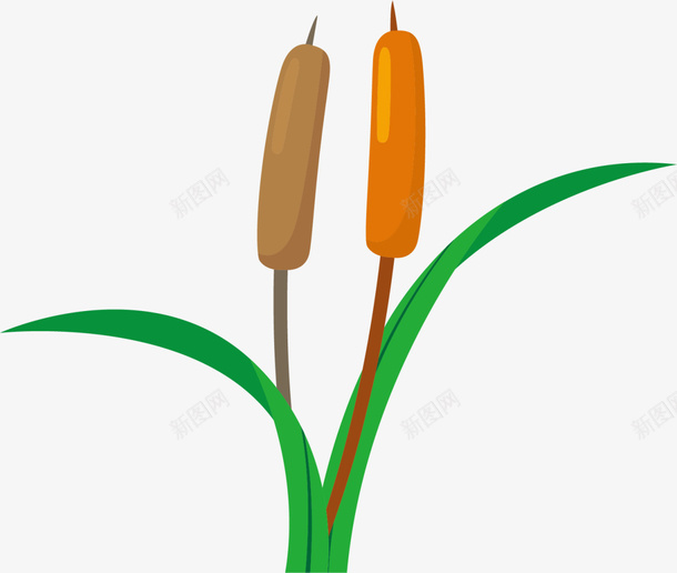 绿色卡通芦苇小草png图片免费下载 素材0mjaqpukp 新图网 绿色卡通芦苇小草png图片免费下载 素材0mjaqpukp 新图网