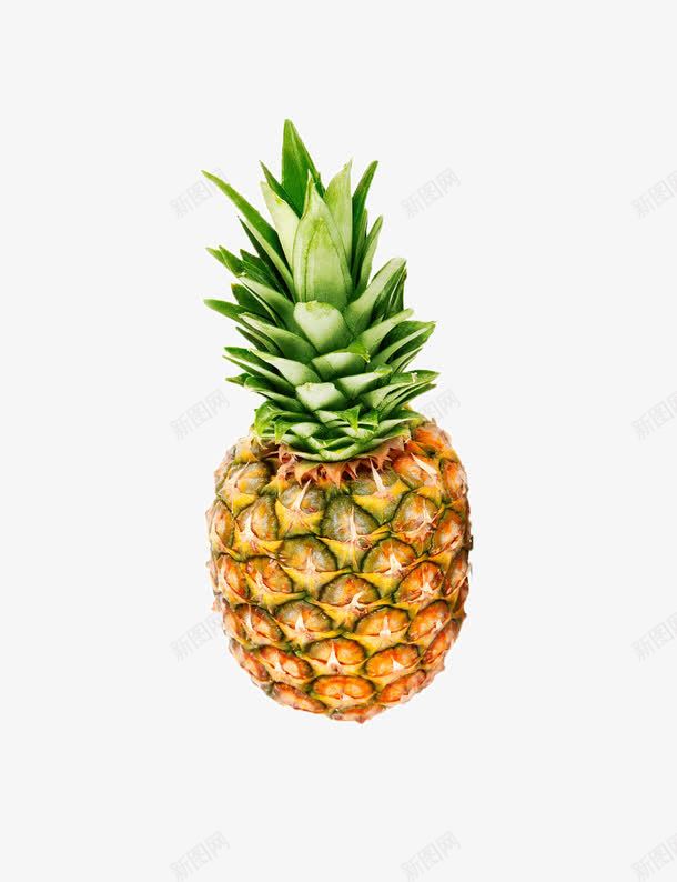 黄色的菠萝png免抠素材_新图网 https://ixintu.com 果实 水果 菠萝 食物