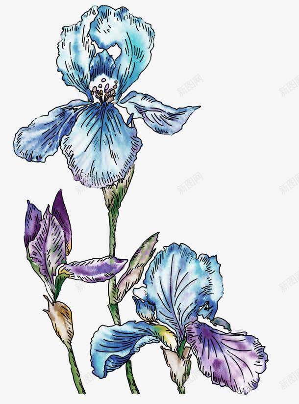 创意守护蓝色的花朵效果素描png免抠素材_新图网 https://ixintu.com 创意 守护 效果 素描 花朵 蓝色