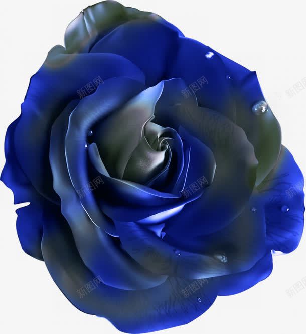花朵形钮扣图案png免抠素材_新图网 https://ixintu.com 塑料质感 深蓝 素材 花朵形