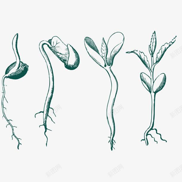 植物手绘矢量图ai免抠素材_新图网 https://ixintu.com 成长 手绘图片 树苗 植物 矢量图