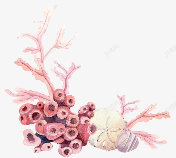 植物和珊瑚png免抠素材_新图网 https://ixintu.com png素材 彩绘 植物 珊瑚