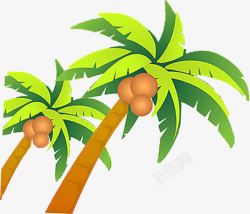 手绘海报植物椰子树素材