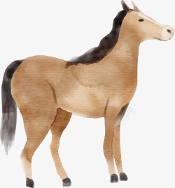 可爱马匹手绘棕色水彩马匹高清图片