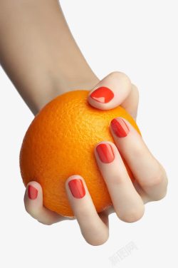 手握橙子素材