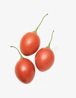 小番茄水果素材