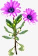 紫色唯美花朵美景png免抠素材_新图网 https://ixintu.com 紫色 美景 花朵
