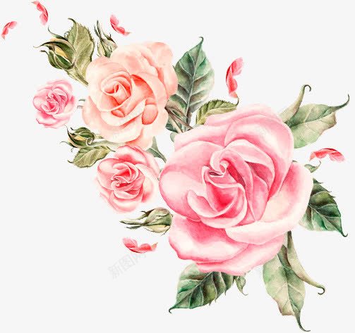 浪漫甜美粉色花朵植物玫瑰png免抠素材_新图网 https://ixintu.com 植物 浪漫 玫瑰 甜美 粉色 花朵