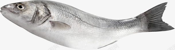 一条小鱼png免抠素材_新图网 https://ixintu.com png图形 png装饰 小鱼 海产品 装饰 食物