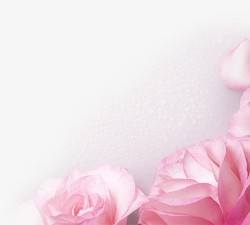 粉色甜蜜小花装饰素材
