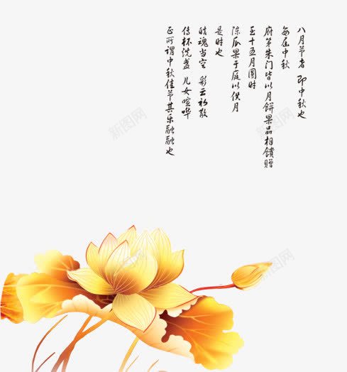 花卉图案装饰png免抠素材_新图网 https://ixintu.com 背景 花卉 装饰 金色