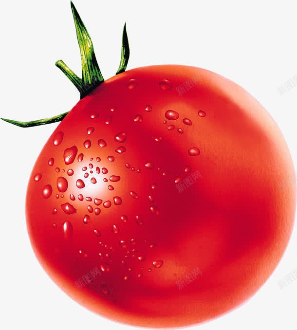 红色新鲜西红柿水果png免抠素材_新图网 https://ixintu.com 新鲜 水果 红色 西红柿