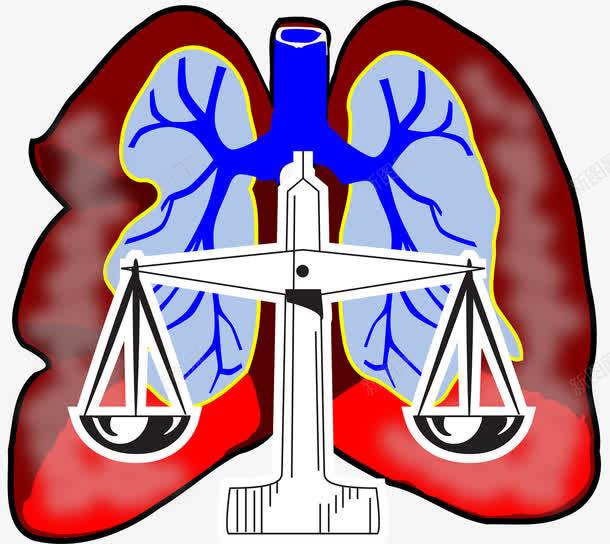 人体器官模型png免抠素材_新图网 https://ixintu.com 人体 器官 模型 肺叶