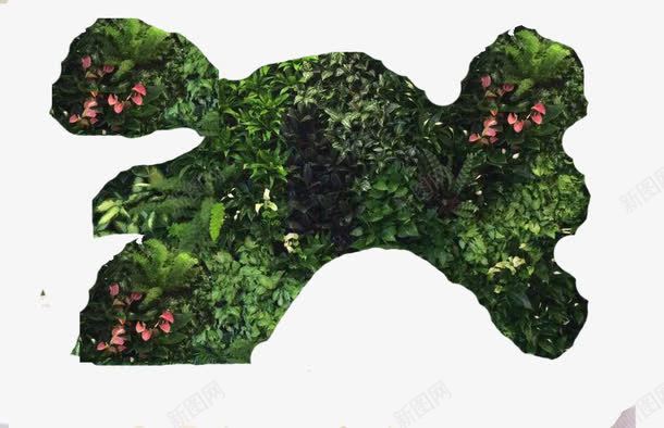 植物种植png免抠素材_新图网 https://ixintu.com 丛植等 形成疏密有度 绿植墙 自然式种植 采用散植