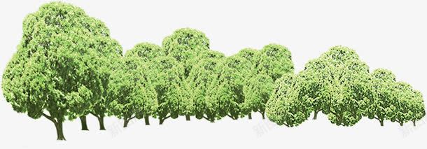 夏日海报植物树木png图片免费下载 素材0mqaewepg 新图网 夏日海报植物树木png图片免费下载 素材0mqaewepg 新图网