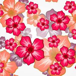 手绘夏威夷花卉背景素材