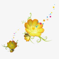 小黄星星植物高清图片