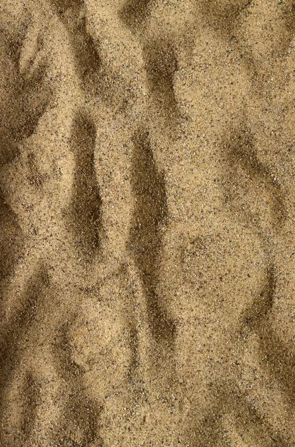 装饰沙子质感png免抠素材_新图网 https://ixintu.com 沙子 沙子质感 素材 装饰 质感