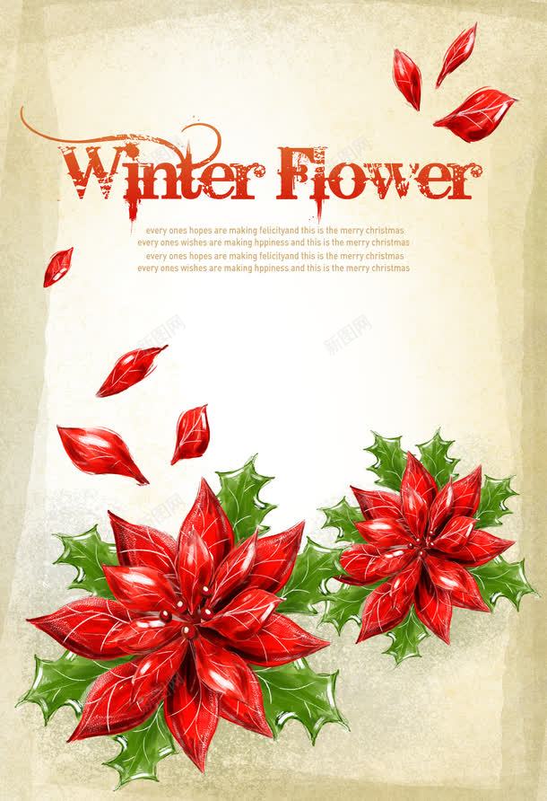 冬日花朵字体创意红色png免抠素材_新图网 https://ixintu.com 冬日 创意 字体 红色 花朵