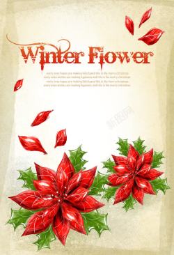 冬日花朵字体创意红色素材